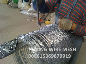 Hot Dipped Galvanized Blade Razor Barbed Wire Coil Concertina Razor Wire